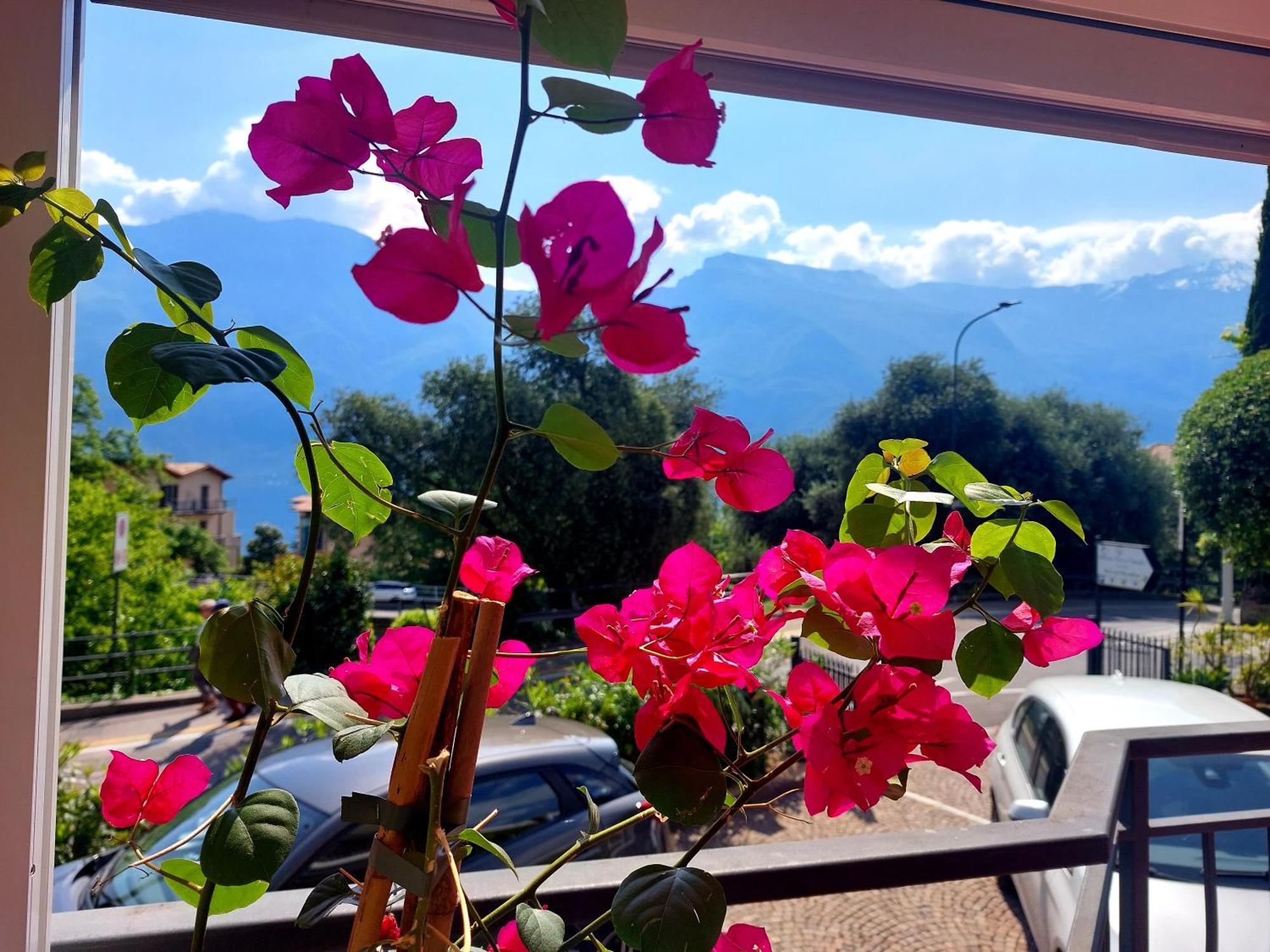 Hotel Villa Grazia Limone sul Garda Zewnętrze zdjęcie